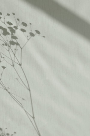 Aesthetic minimalist neutral background with sunlight shadows on a light sage green wall, copy spaceの写真素材