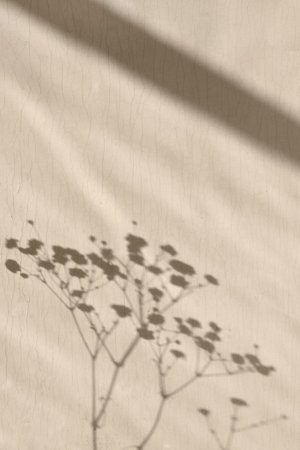 Flower blurry sunlight shadows on a neutral beige textile, aesthetic minimalist summer backgroundの写真素材