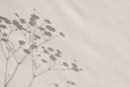 Abstract sun light shadow silhouette on a beige wall, aesthetic floral background, copy spaceの写真素材