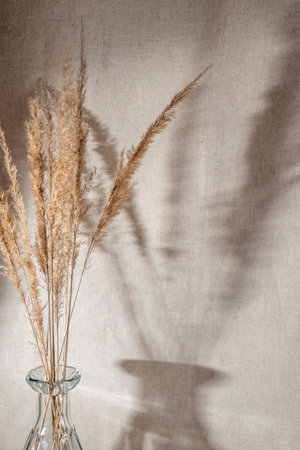 Dried mwedow grass bouquet in glass vase, aesthetic sunlight shadows on a neutral beige wall, minimalist interior decoration elementの写真素材