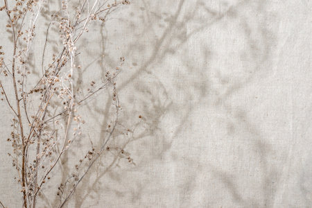 Dried meadow grass with aesthetic floral sunlight shadows on a neutral beige linen cloth, elegant summer natural background, copy spaceの写真素材