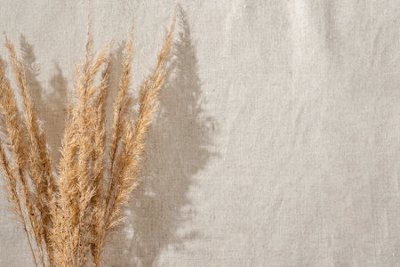 Dried meadow grass stems bouquet on a neutral beige linen cloth, aesthetic summer background with sunlight shadows, template with copy spaceの写真素材