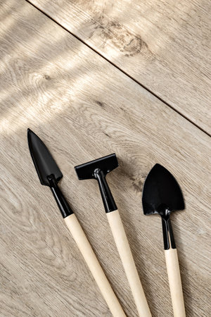 Houseplants care tools set, small spades and rake on a wooden background with sunlight shadows,...