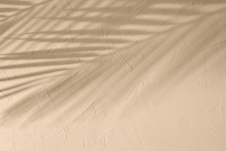 Minimalist aesthetic natural summer background with blurry sunlight shadow of a tropical palm leaves on warm beige plaster textured wall, copy spaceの写真素材