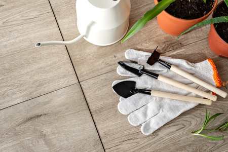 Houseplants care and growing concept, gardening tools set for home garden work, watering can, spades, rake, gloves, plants in a pots, copy spaceの写真素材
