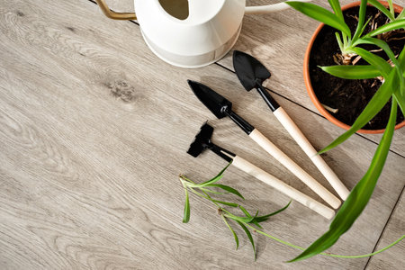 Home gardening concept flatlay, tools set for house plants care, watering can, houseplant in a pot on beige wooden background, copy spaceの写真素材