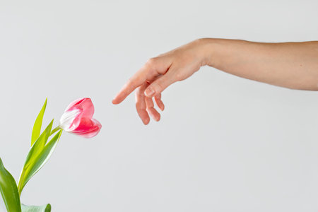 Women's hand and tulip flower. Connection with nature, environment protection and care, conscious living, ecology conceptの写真素材