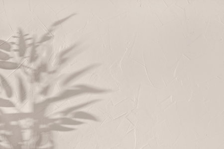 Aesthetic floral foliage sun light shadow on a neutral beige textured concrete wall background, tree branch leaves silhouette, copy spaceの写真素材