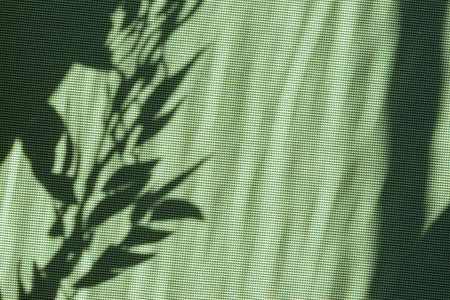 Bright green summer or spring natural background with copy space, aesthetic sun light floral leaves...