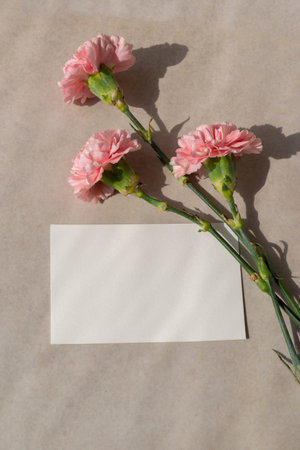 Blank paper card and pink carnation flowers on a beige background with sun light shadows, minimalist holiday greeting card design template, copy spaceの写真素材