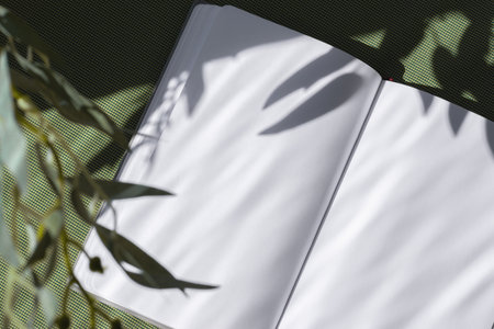 spring summer writer blog, business brand template, open notebook with empty sheet mock up on a green background with aesthetic floral lifestyle sun light shadow, flat lay, copy spaceの写真素材