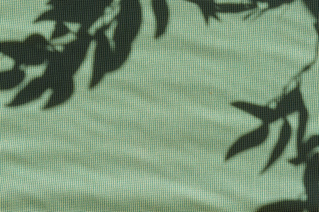 Aesthetic floral sun light shadows on a green textile backgroundの写真素材