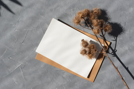 Aesthetic boho background with dried burdock flower, blank paper card mockup with copy space, minimal neutral business, brand templateの写真素材