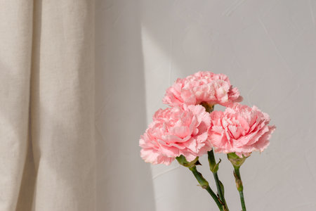 Pink carnation flowers bouquet on beige wall background with sun light rays, elegant floral greeting card, postcard or wedding design templateの写真素材