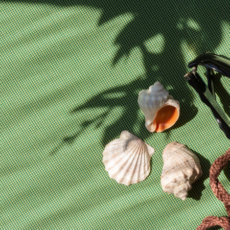 Natural summer flat lay with sea shells on light green background with floral sunlight shadowの写真素材