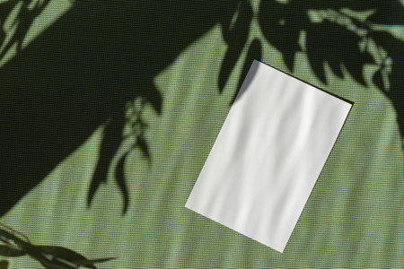 Summer business branding, invitation or postcard template, blank paper card with mock up copy space on green background, floral sun light shadowの写真素材