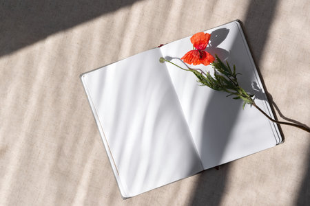Open notebook with empty sheets mockup copy space, red poppy flower, abstract lifestyle sunlight shadows on a beige background, writer blog templateの写真素材