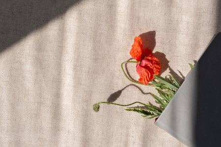 Aesthetic neutral summer still life background with empty copy space, closed book with red poppy flower bookmark on a linen beige textile with abstract sunlight shadows, summer conceptの写真素材