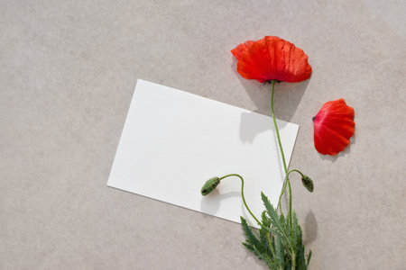 Blank paper card with copy space, red poppy flower on a neutral beige background, aesthetic minimalist floral postcard, business branding templateの写真素材