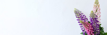 Pink, violet and magenta lupine flowers bouquet on a light neutral background, summer floral banner, wallpaper with copy spaceの写真素材