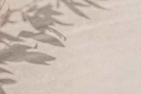 Neutral beige ceramic stone tabletop texture background with aesthetic floral sunlight shadow, minimalist business brand template, frame with copy spaceの写真素材