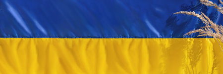 Ukrainian flag banner, yellow blue folded silk fabric texture background with meadow spikelets and sunlight shadows. National symbol of Ukraine country, government. Independence day, a freedom conceptの写真素材