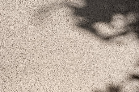 Neutral beige concrete plaster wall coating texture background with floral sun light shadow, house room wall finishing decoration, aesthetic mock up design templateの写真素材