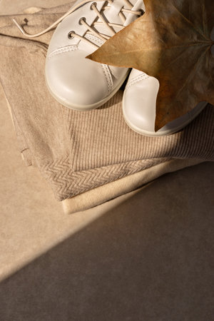 White sneakers, wool and cashmere knitwear, brown fall dried leaf on warm neutral camel background with sunlight and shadow, aesthetic minimalist autumn fashion clothes concept, flat lay, copy spaceの写真素材