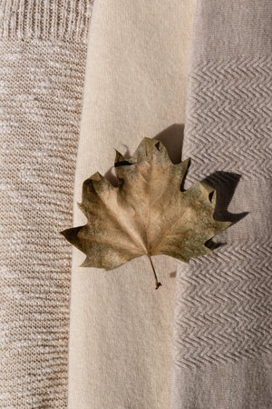 Light brown dried fall leaf over beige, creamy and taupe knitted wool and cotton sweaters texture background. Autumn clothes, wardrobe in neutral nude colorsの写真素材