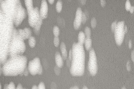 Blank concrete neutral beige wall with aesthetic abstract foliage sunlight shadow. Elegant sustainable natural interior design template, business brand mock up, copy spaceの写真素材