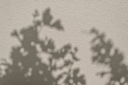 Natural floral sun light shadow on neutral beige concrete wall texture background, elegant wedding or business brand templateの写真素材