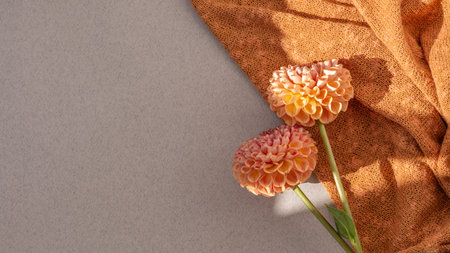 Orange dahlia flower bouquet on knitted textile and neutral beige background with lifestyle sun light shadow. Aesthetic festive greeting card, banner, business brand design templateの写真素材