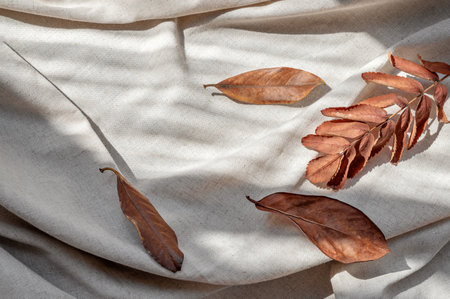 Brown leaves fall on neutral beige linen crumpled fabric with natural aesthetic sunlight shadows. Minimalist pastel autumn backdrop.の写真素材