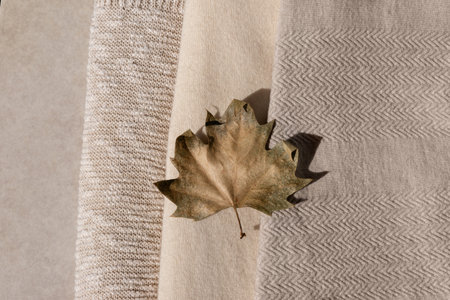 Autumn clothes, wardrobe in neutral nude colors. Light brown dried fall leaf over beige, creamy and taupe knitted wool and cotton fabric texture backgroundの写真素材