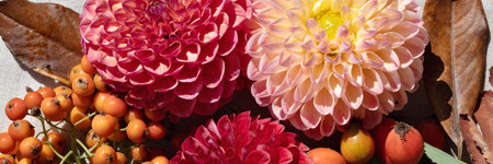 Aesthetic autumn floral banner. Bouquet with red, orange, pink dahlia, berries, fall brown leaves in sun light, background for marketing advertising, closeup.の写真素材