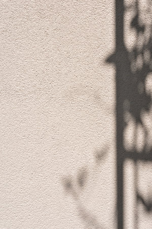 Empty concrete neutral beige wall texture background with an aesthetic floral natural sunlight...