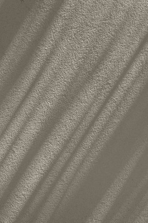 Aesthetic sustainable business brand template, home interior design mock up. Abstract natural sunlight shadow pattern on a neutral dark beige empty concrete wall texture background.の写真素材