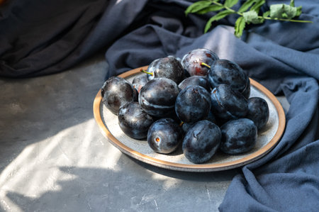 Fresh plums on plate with water drops, dark blue linen tablecloth on gray background with floral natural sunlight shadows. Aesthetic still life.の写真素材