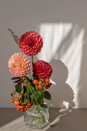 Red and pink dahlia flowers autumn bouquet with orange berries in vase with aesthetic natural sunlight shadow. Cozy fall floral still life.の写真素材