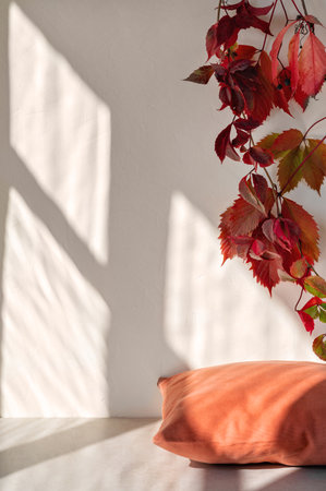 Orange pillow on beige table, white wall with wild grape leaves and window sunlight shadows silhouette. Aesthetic lifestyle autumn background, fall business brand template, copy spaceの写真素材