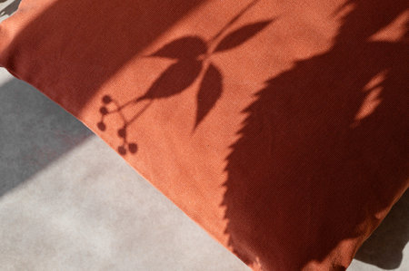 Minimal aesthetic autumn background with orange pillow and natural floral sunlight shadow silhouette of wild grape leaves. Fall cozy home interior decoration, still lifeの写真素材