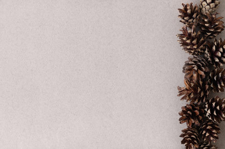 Minimalist winter aesthetic background, pine cones border on neutral light taupe or dust pink color...