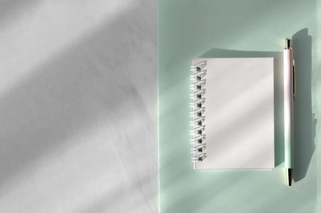 Minimalist aesthetic feminine home office workspace, blank notebook mockup, pastel sage green paper...