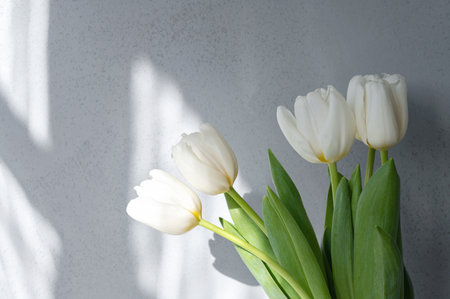 Aesthetic neutral floral background, abstract sunlight shadows on blurred concrete wall and white tulip flowers, elegant business branding or interior design template.の写真素材