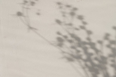 Neutral beige concrete wall texture background with soft blurred floral sunlight shadows, aesthetic...