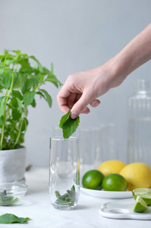 Making mojito cocktail drink at home, hand placing mint leaves in glass, blurred limes, lemons, mint in pot on background, ingredients for making refreshing beverage.の写真素材