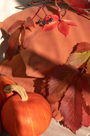 Aesthetic autumn background with red and orange leaves, pumpkin, warm red textured pillows and natural abstract sunlight shadows, Thanksgiving or Halloween fall decorative backdrop.の写真素材