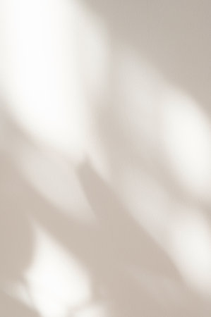 Soft elegant neutral light beige backdrop for business branding and social media design, aesthetic abstract sunlight shadows on neutral light plaster wall backgroundの写真素材