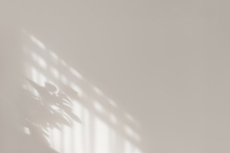Minimalist aesthetic sunlight shadow silhouette of windowpane on neutral light gray beige plaster wall background, elegant backdrop for business branding blog, quiet luxury styleの写真素材