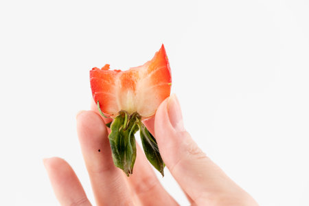 on a white photo background, thin female hands hold a bitten half of a ripe strawberry by the tail, healthy vitamins, seasonal, summer fruit, vitamin Cの写真素材